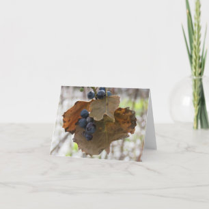 Blad en bessen van blauw - Blank Wenskaart Kaart