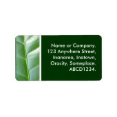 Blad Etiket (Voorkant)