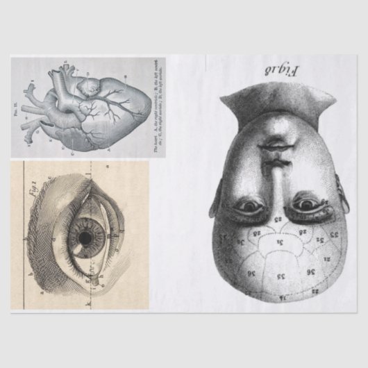 Blad met Junk Journal Anatomy Elements Tissuepapier (Voorkant)