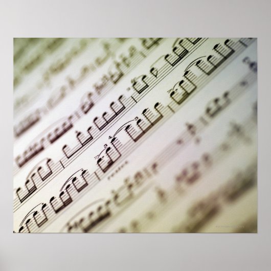 Blad Muziek 11 Poster (Voorkant)