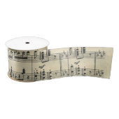 Blad muziekontwerp lint (Spoel)