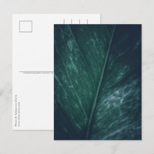 Blad Natuur Foto Briefkaart