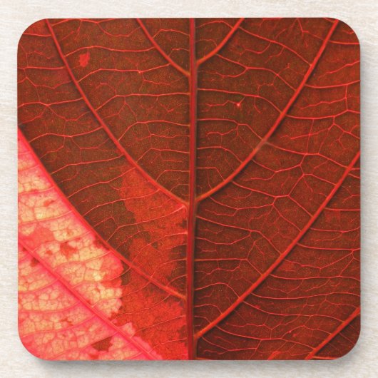 Blad Onderzetter (Voorkant)