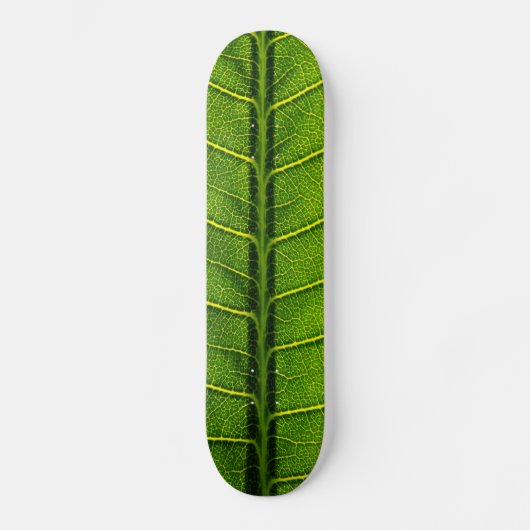 Blad Skateboard (Voorkant)
