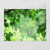 Blad Trouwtafel nummer Briefkaart (Achterkant)