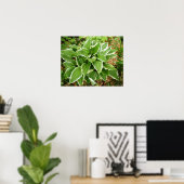 Blad van de Hosta Plantainlelie Poster (Thuiskantoor)