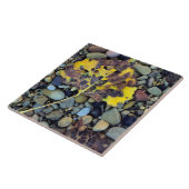 Blad van Fremont-katoenhout op de overstroming in  Tegeltje (Zijkant)