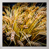 Blad van tarwe - Hartelijk dank Poster (Voorkant)