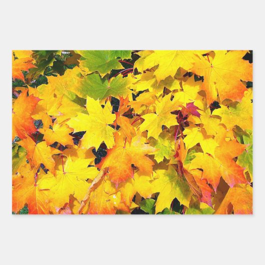 Blade van bladpapier met overvulling van 3 inpakpapier vel (Voorkant)