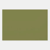 Bladen met groene tartan inpakpapier vel (Voorkant 2)