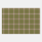 Bladen met groene tartan inpakpapier vel (Voorkant)