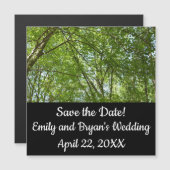 Bladerdak van lente groene natuur scène (Voorkant / Achterkant)