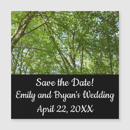 Bladerdak van lente groene natuur scène (Voorkant)