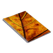 Bladeren bladeren herfst textuur notitieboek (Rechterzijde)