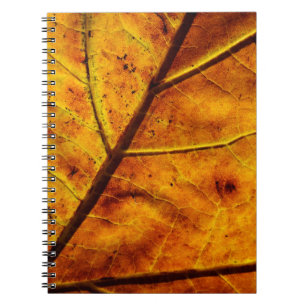 Bladeren bladeren herfst textuur notitieboek