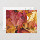 Bladeren Briefkaart (Voorkant / Achterkant)