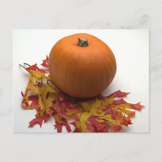 Bladeren en pompoenen briefkaart (Voorkant)