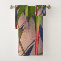 Bladeren en schaduwen