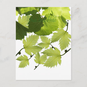 Bladeren met druivenwijn briefkaart