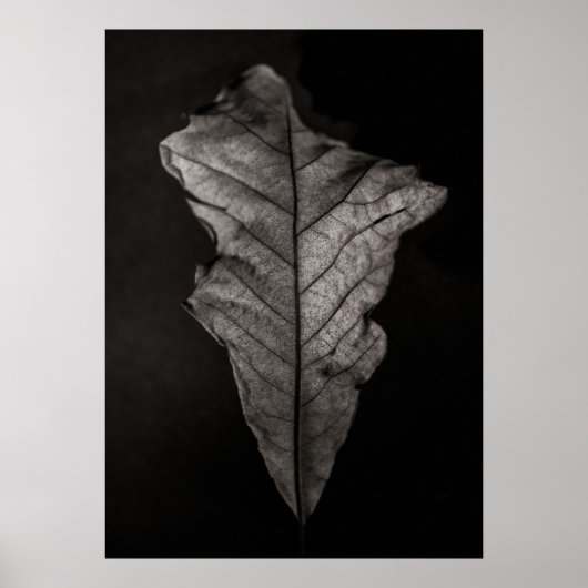 Bladeren nr. 5 poster (Voorkant)