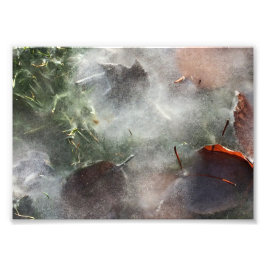 Bladeren onder ijs foto afdruk