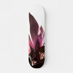 bladeren skateboard