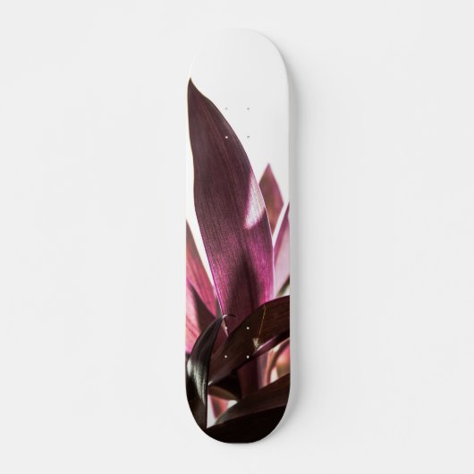 bladeren skateboard (Voorkant)