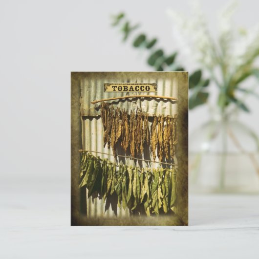 bladeren van gedroogde tabak briefkaart (Staand voorkant)