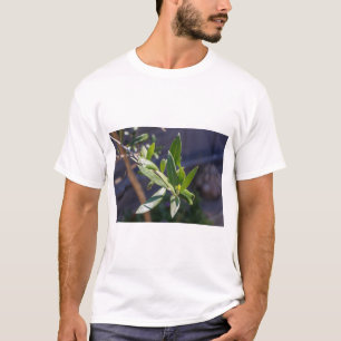 Bladeren van olijfbomen t-shirt