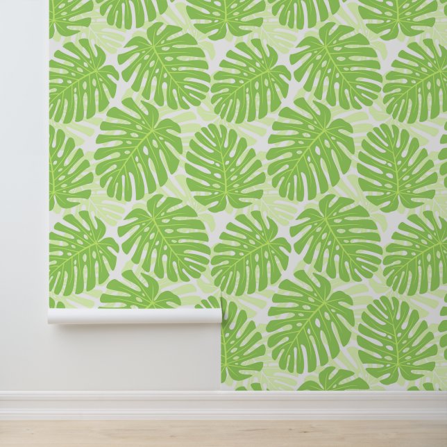 Bladeren van tropisch Plant - Monstera Pattern Behang (Applicatie)
