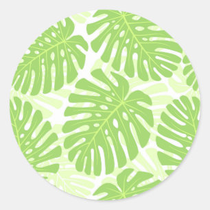 Bladeren van tropisch Plant - Monstera Pattern Ronde Sticker