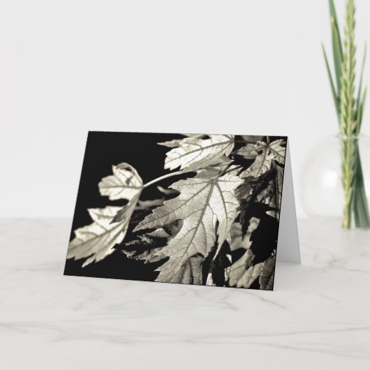 Bladeren [Wenskaart] Kaart (Voorkant)