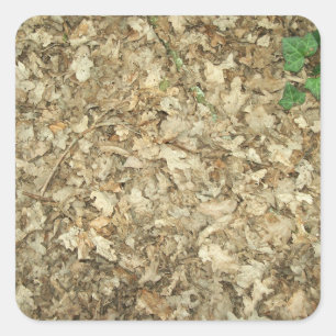 Bladeren. Woodland. Leafy grond. Vierkante Sticker