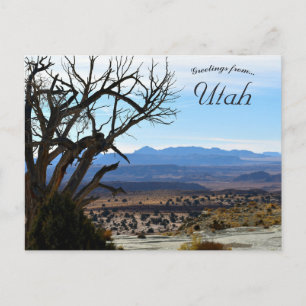 Bladerloze Boom in Utah Briefkaart