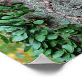 Bladgroene wijnstok op boomspiegel Abstract Poster (Hoek)