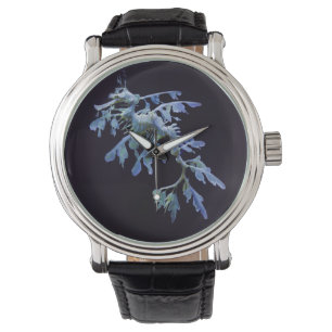 Bladig Zeedraak Waarnemen Horloge
