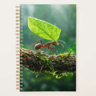 Bladkniptemier 2027 Planner