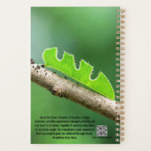 Bladkniptemier 2027 Planner (Achterkant)