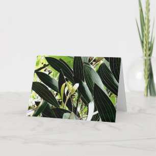 bladpatroon feestdagen kaart