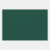 bladpatroon inpakpapier vel (Voorkant 3)