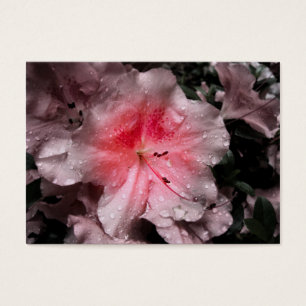 Bladwijzer binnenste gloed visitekaartje