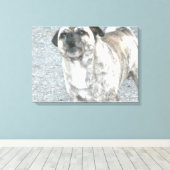 Blaffende Bulldog Canvas Afdruk (Insitu (Houten vloer))