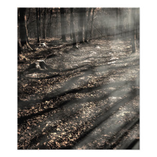 Blair Witch...Daar. Foto Afdruk