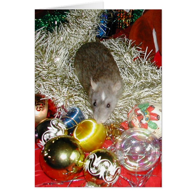 Blaize en de Baubles (Voorkant)