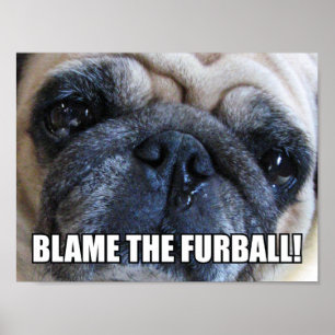 BLAM DE FURBALL! ALLERGY MEME POSTER