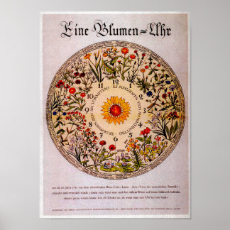 Blamenuhr Flower Clock Art Poster