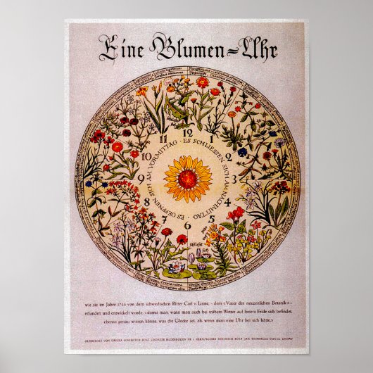 Blamenuhr Flower Clock Art Poster (Voorkant)