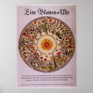 Blamenuhr Flower Clock  Art Poster