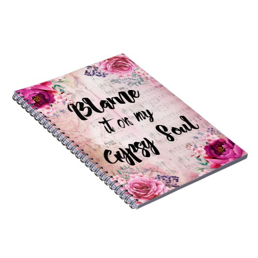 Blâmez-le sur mon journal gitan d'âme (Côté Droit)