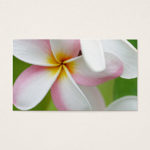 Blanc customisé par fleur d'Hawaï de Frangipani
